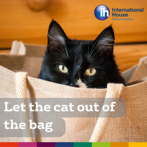 let the cat out of the bag idiom