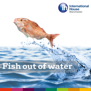 Fish out of water idiom