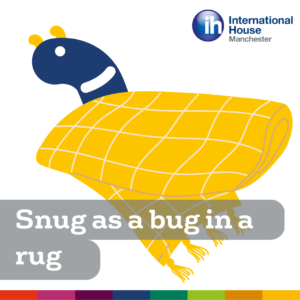 Snug as a bug in a rug idiom