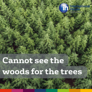 cannot see the wood for the trees