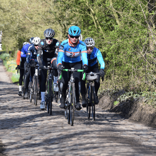 A group of cyclists rides closely together on a cobblestone road bordered by trees and greenery.
