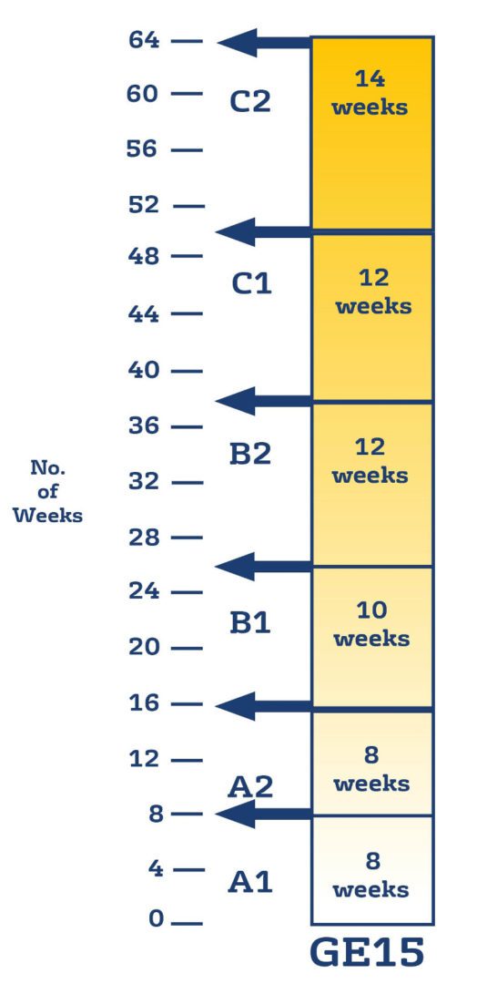 English lessons progression chart